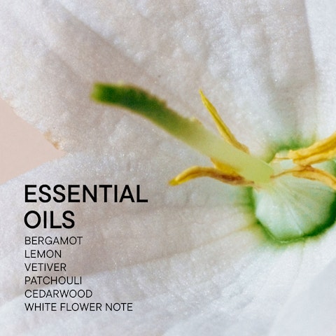 Grounding Soul & Room Fragrance