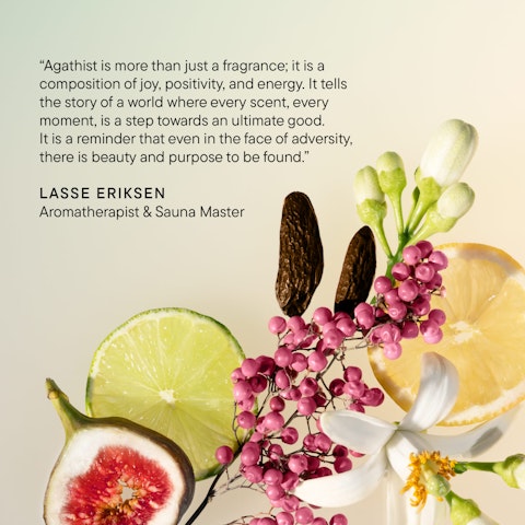 Soul & Body Wash Agathist