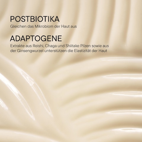 Stress Defense Mushroom Cream