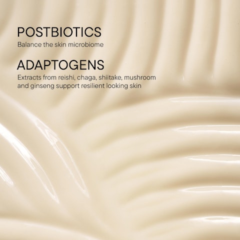 Stress Defense Mushroom Cream