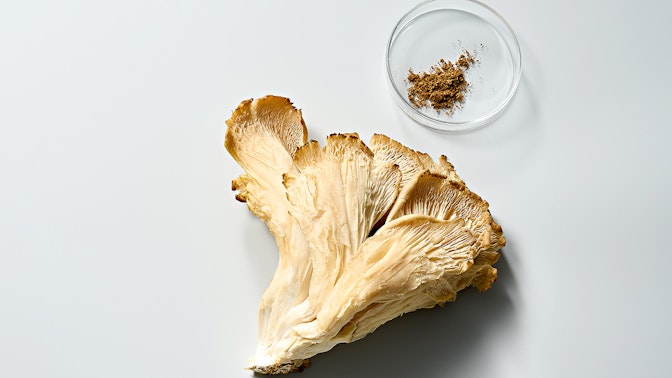 Was ist die neue Stress Defense Mushroom Cream? Was ist die neue Stress Defense Mushroom Cream?