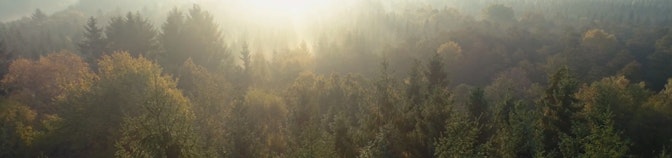 Umweltbewusst mit BABOR Umweltbewusst mit BABOR