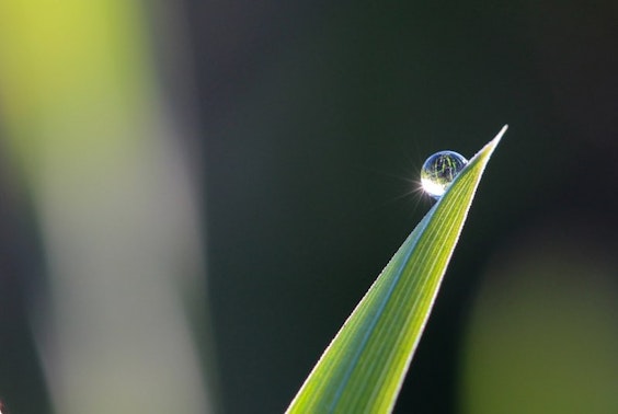 Rispetta l'Ambiente con BABOR Rispetta l'Ambiente con BABOR