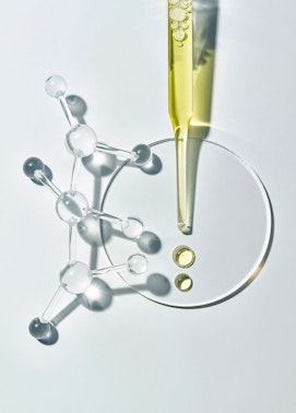 ΟΙ ΑΜΠΟΥΛΕΣ ΤΟΥ ΜΗΝΑ ΟΙ ΑΜΠΟΥΛΕΣ ΤΟΥ ΜΗΝΑ