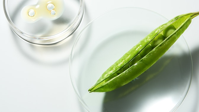 Anti-Aging Wundermittel: Peptide Anti-Aging Wundermittel: Peptide