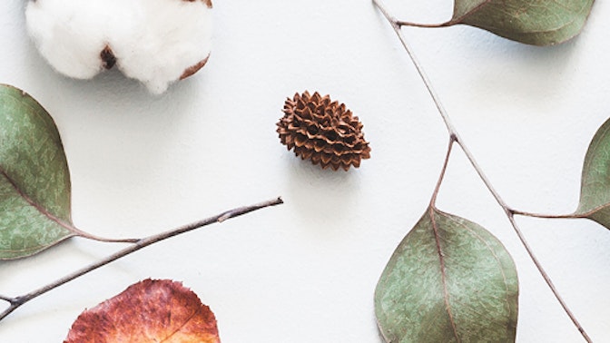 5 must-haves in de herfst 2019! 5 must-haves in de herfst 2019!