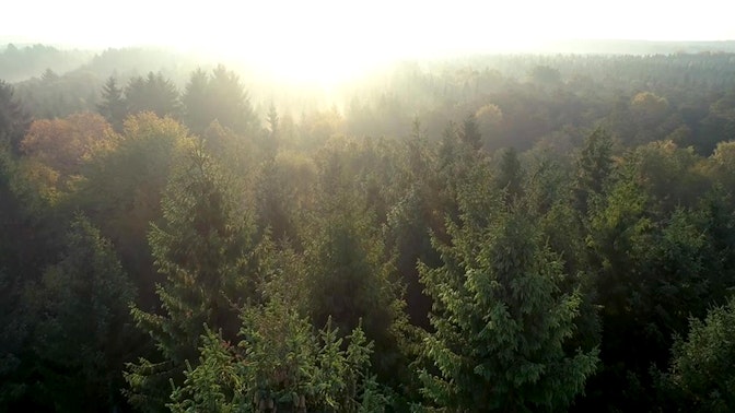 Umweltbewusst mit BABOR Umweltbewusst mit BABOR